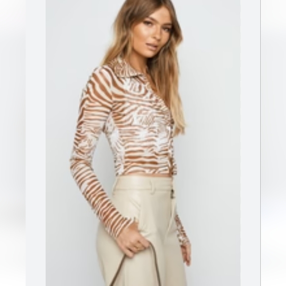 Zebra Pattern sheer top - Picture 3 of 7